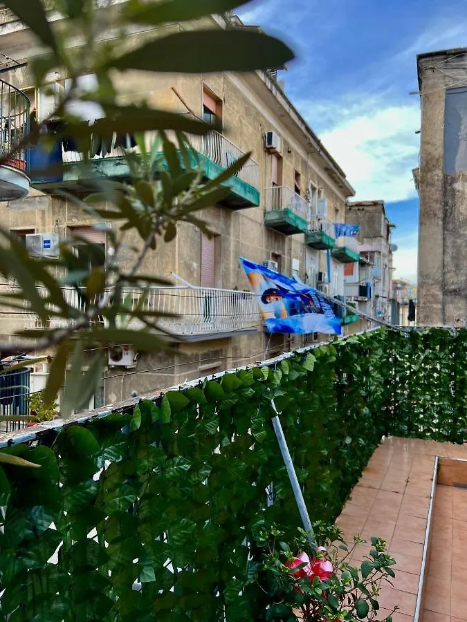 Dimora Diego Hotel Naples Guest house